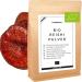 Reishi Powder Pure Reishi Mushroom Reishi Organic Powder Reishi Mushroom Medicinal Mushrooms Reishi Powder by Foozia (300 g) 300 g (1 pack)