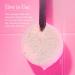 European Wax Center & Spongelle Exfoliating Body Sponge with PHA & BHA - Hydrate & Cleanse for Smooth Skin - 14+ Washes - Ideal Daily Skincare for Men & Women - Buy Online on GoSupps.com