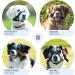 Gentle Muzzle Guard for Dogs - Prevents Biting and Unwanted Chewing Safely New Secure Comfort Fit - Soft Neoprene Padding No More Chafing Included Training Guide Helps Build Bonds with Pet (M Blue) Blue M (Pack of 1) - Buy Online on GoSupps.com