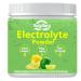 Electrolytes Powder No Sugar, Electrolyte Drink Mix, 5 Vitamins & 6 Electrolytes, Keto Friendly, Potassium & Salt, Sugar Free Hydration Powder, Lemon Flavour 300g