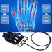 Rehabilitation Robot Glove Children Resin Fiber Physical Gas Valve Single Finger Hand Rehabilitation Device Replacement Gloves for Stroke & Spinal Cord Injury Hand Splint for for Kids(XS)(Left Hand) - Buy Online on GoSupps.com