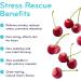 SISU Stress Rescue L-Theanine Chewable Tablet 30 Count (Pack of 1) - Buy Online on GoSupps.com