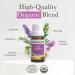 Pranarom Skin Clarity 15ml Pure Essential Oil Blend - Lavender Tea Tree Thyme Rosemary Niaouli German Chamomile Skin Clarity 0.5 Fl Oz (Pack of 1) - Buy Online on GoSupps.com