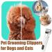 LiteBee Professional Dog Grooming Kit 2200mAh Rechargeable Cordless 3-Speed Pet Grooming Clippers & Complete Set of Dog Grooming Accessories (White) - Buy Online on GoSupps.com