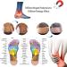 Magnetic Massage Insoles for Reflexology & Foot Health | Improve Blood Circulation & Relieve Plantar Fasciitis (Sizes 35-40) - Buy Online on GoSupps.com