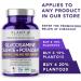 Plant.O Nutrition Glucosamine Sulfate with Potassium - Strong Joint Support Supplement - 120 Tablets - Buy Online on GoSupps.com