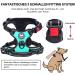 POPOT No Pull Dog Harness - Front Reflective Pet Vest for Daily Training & Walking Mint Blue (Size M) - Buy Online on GoSupps.com