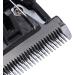 Fivetwofive 10X Black Ceramic Titanium Knife Pet Dog Hair Trimmer Blade Clipper for P2 P3 P6 P9 S1 ZP-295 ZP-293 4 - Buy Online on GoSupps.com