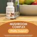 VH Nutrition Mushroom Supplement 1400mg Capsules - Vitality Support with Lions Mane, Chaga, Reishi Extracts - Buy Online on GoSupps.com