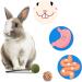 EBaokuup Bunny & Hamster Chew Toys for Dental Health - 100% Natural Apple Wood Grass Ball String Carrot Toys - Ideal for Chinchillas, Guinea Pigs, Hamsters - 18PCS - Buy Online on GoSupps.com