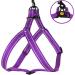 Collardirect Reflecting Dog Harness - Adjustable Sizes S M L for Outdoor Walks - Available in Pink Black Red Purple Mint Green Orange Blue & Lila - Buy Online on GoSupps.com