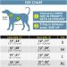 Thinkpet Anti Zug Dog Harness & Adjustable Dog Dishes - Reflective Breathable Easy Control - Yellow M (1 Pack) for Comfortable Walking - Buy Online on GoSupps.com