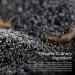 HANDI Poppy Seed Raw 200GM for Baking Cooking and Seasoning - Buy Online on GoSupps.com