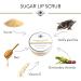 BEES of BRITAIN Sugar Lip Scrub - 100% Natural Jojoba Honey Vanilla - 50g - Buy Online on GoSupps.com