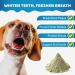 Dog Teeth Cleaning Powder - Plaque & Tartar Remover Fresh Breath - Dental Powder with Dog Probiotics - Easy Daily Use PhD-formulated - 2.82 oz (80g) - Buy Online on GoSupps.com