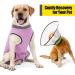 3XL Pink Wound Protection Coat for Dogs & Cats | Postoperative Vest | Replacement for E-Collar | Abdominal Medical Op Clothing - Buy Online on GoSupps.com