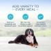 Blue Buffalo Homestyle Recipe Natural Wet Dog Food Large Breed Chicken 12.5oz (Pack of 12) - Buy Online on GoSupps.com