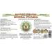 Organic Muira Puama Alcohol-Free Liquid Extract - 2 oz - Hawaii Pharm USA - Buy Online on GoSupps.com