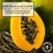 GERBS Dried Papaya Slices 2 LBS - Sweetened Resealable Bulk Bag | Allergy Friendly & Weight Loss Aid | Gluten & Peanut Free - Buy Online on GoSupps.com