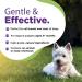 RenaSan Dog Ear Cleaner Drops to stop head shaking remove wax & debris soothe stop itching and remove odours. Naturally derived & Non-toxic (250ml) (PACKAGING MAY VARY) - Buy Online on GoSupps.com