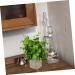 Zerodeko 6 Pcs Simulated Potted Plant Faux Greenery Fake Plant Decor Green Decor Mini Plants Mini Succulent Plants Upholstery Trim Simulation Green Plant Plastic Eucalyptus Green Plants As Shownx6pcs 22x8cmx6pcs - Buy Online on GoSupps.com