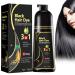 MagiSel 500ml Color Shampoo Instant Hair Dye Shampoo for Colored Hair Natural Black Hair Dye Shampoo 3 in 1 Hair Dye for Men and Women (Black)