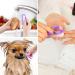 Handle Grip Nail Brush Larbois Hand Fingernail Brush Cleaner Scrubbing Kit Pedicure for Toes and Nails Men Women (4 Pack) (Color-6) - Buy Online on GoSupps.com
