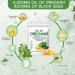 ZEYARUIBO Organic Oil of Oregano with Black Seed Oil 2-in-1 Oregano Oil Capsules Organic 300 Count | Plant-Based Non-GMO | Supports Wellness & Digestive Balance - Buy Online on GoSupps.com