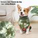 Buy Lianzimau Dogebody After Op Body Suit for Male Dogs - Wound Protection & Comfort | Tie-Dye Green Surge Suit - Buy Online on GoSupps.com