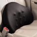 Car Seat Lumbar Support - Driver Lumbar Back Support - Comfortable Lumbar Support Pillow for Car Ergonomic Back Cushion for Workplace Black - Buy Online on GoSupps.com