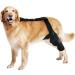 Dog Knee Support Brace - Brace Behind Leg - Rear Leg Stabilizer for Small Dogs Neoprene Hip Brace with Adjustable Traction Belt for Cruciate Ligament Injury Joint M left - Buy Online on GoSupps.com