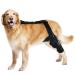 Dog Knee Support Brace | Dog ACL Knee Support Brace | Support Dog Knee Brace Neoprene Hip Brace Adjustable Traction Belt for Knee for Cruciate Ligament Injury for Torn ACL Leg M left