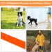 X Xben Waterproof Tow Lines for Dogs - 3m Rubberized Leash with Lockable Carabiner Robust Training Line for Small & Medium Dogs - Neon Orange - Buy Online on GoSupps.com