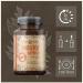 Inositol Capsules 120 Vegan - 2100mg Myo-Inositol | Additive-Free & International Shipping - Buy Online on GoSupps.com