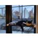 Lcybem Cat Window Hammock - Sturdy Suction Cups Window Perch for Cats - Holds Two Large Cats - 360 Sunbathe - Indoor Cat Window Seat - Buy Online on GoSupps.com