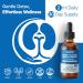 HOLLEGEND Kidney Cleanse Detox & Repair Liquid Drops Kidney Liver Support Supplement for Women & Men w/Chanca Piedra Cranberry Urinary Tract Bladder Support Vegan Non-GMO 2 Fl Oz - Buy Online on GoSupps.com