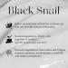 MIZON Black Snail All In One Cream - Premium Korean Skin Care for Intensive Wrinkle & Firming Care - 2.5 Fl Oz (Pack of 1 - Buy Online on GoSupps.com