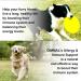 Natural Allergy Relief for Dogs - Herbal Drops for Itchy Skin & Seasonal Allergies - Supports Healthy Immune System - Bacon Flavor - 60ml - Buy Online on GoSupps.com