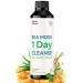 Atlantic Naturals Sea Moss 1 Day Cleanse - Full Body Detox to Support Bowel Movements  Kidney Health  Liver Health  Gut Health  Immune Health and Energy Levels