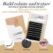 LashView 0.20mm D Curl Ellipse Flat Eyelash Extensions - Soft & Easy Application Mixed Tray (1 Pack) - Buy Online on GoSupps.com