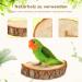 Reyshin 4-Piece Nature Birds Budgie Playground & Nibble Toys | Bird Accessories with 5 Rat Balls for Canaries & Lovebirds - Buy Online on GoSupps.com