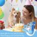 Fanshionide Kielzeug Dog - 6 Indestructible Natural Rubber & Plush Squeaky Puppy Toys for Interactive Play - Perfect for Small & Medium Dogs - Buy Online on GoSupps.com