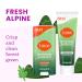 Lume Whole Body Deodorant - Invisible Cream Tube and Solid Stick - 72 Hour Odor Control - Aluminum Free Baking Soda Free Skin Loving - 3.0 Ounce Tube and 2.6 Ounce Solid Stick Bundle (Fresh Alpine) - Buy Online on GoSupps.com