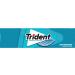 Trident Wintergreen Sugar Free Chewing Gum with Xylitol 14 Sticks 39 g - Buy Online on GoSupps.com