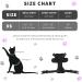 SOKANA Cat Harness and Lead Set for Walking Escape Proof - Lightweight Secure Kitten Harness and Lead Set also for Dogs Puppy Pet Small Size | Black - Buy Online on GoSupps.com