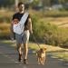 Dog Carrier Bag for Small Dogs & Cats | Sling Pet Carrier for Outdoors | Gray -01 - Buy Online on GoSupps.com