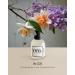 EYFEL Perfumes for Women W231 INSPIRED BY LOVE Eau de Parfum Spray Women's Fragrances EDP 50 ml / 1.76 FL. OZ. - Buy Online on GoSupps.com