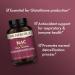 Dr. Mercola NAC Liver Support with Milk Thistle | 180 Capsules - Buy Online on GoSupps.com
