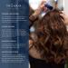 Color & Lift Temporary Root Cover Up - Thickening Powder Brush - Light Blonde - 8 Hair Colors Available - Buy Online on GoSupps.com