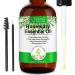Rosemary oil for hair growth - 100% pure natural essential bio -Rosmarin oil for eyebrows and eyelashes nourishes the scalp stimulates hair growth for all hair types 120ml